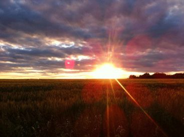 Starting Off Small Image